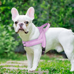 Arnés Antitirones Acolchado para Perros — Ajustable, Suave y Sin Tirones para Razas Pequeñas y Medianas